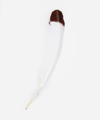 IMITATION EAGLE FEATHER – BROWN