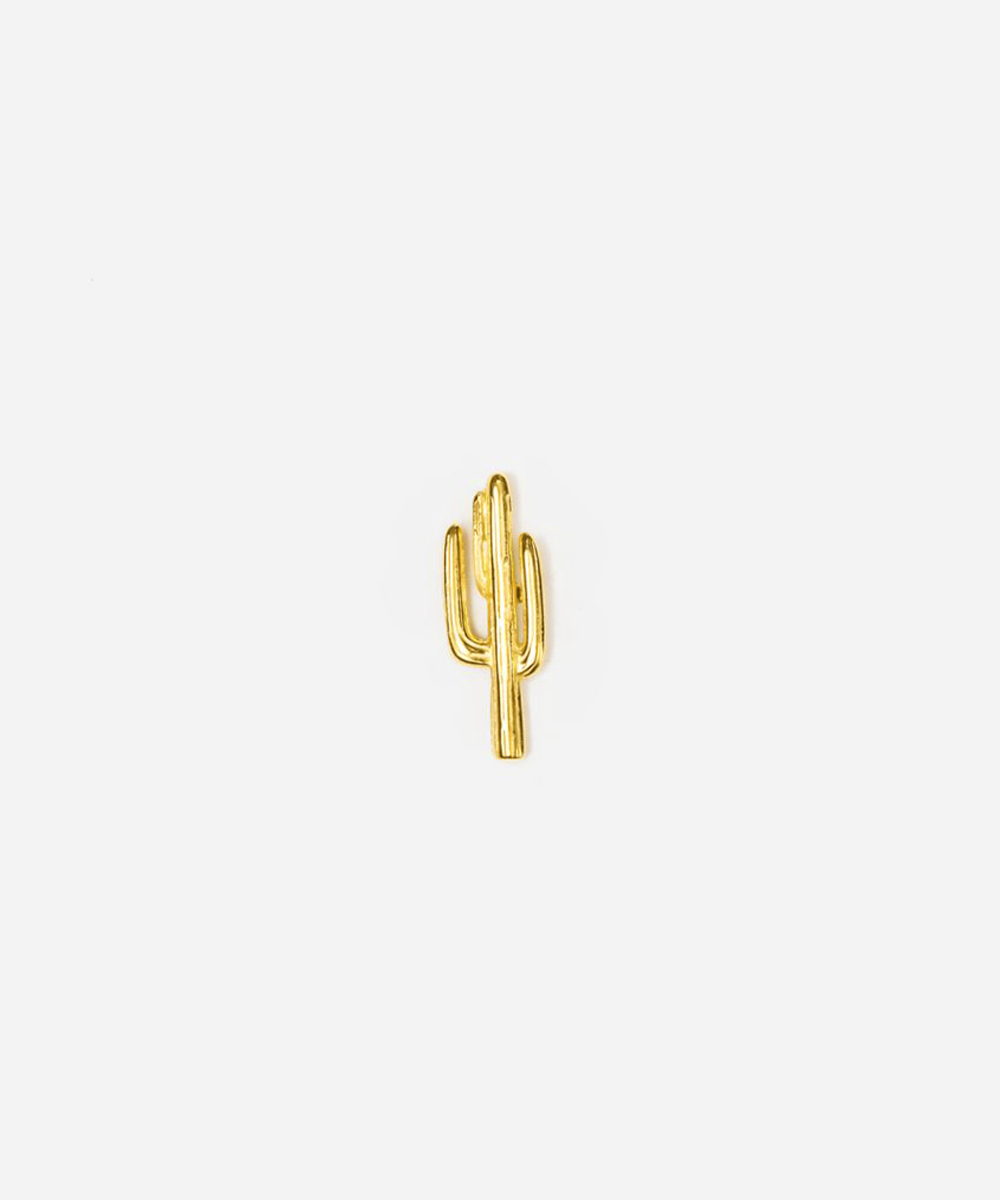 Cactus Hat Pin