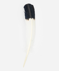 IMITATION EAGLE FEATHER – BLACK
