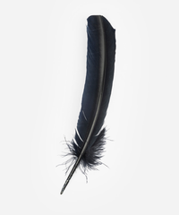 TALL BLACK TURKEY FEATHER