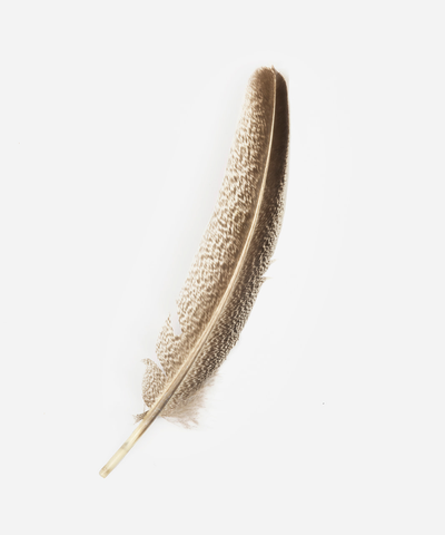 TALL SPECKLED TURKEY FEATHER