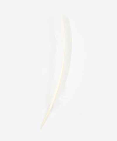 TALL WHITE TURKEY FEATHER