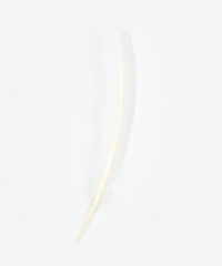 TALL WHITE TURKEY FEATHER