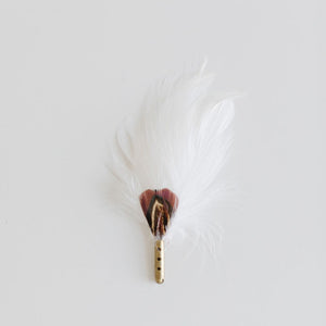 FEATHER – WHITE AND BROWN