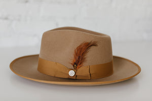 FEATHER – BROWN AND TAN
